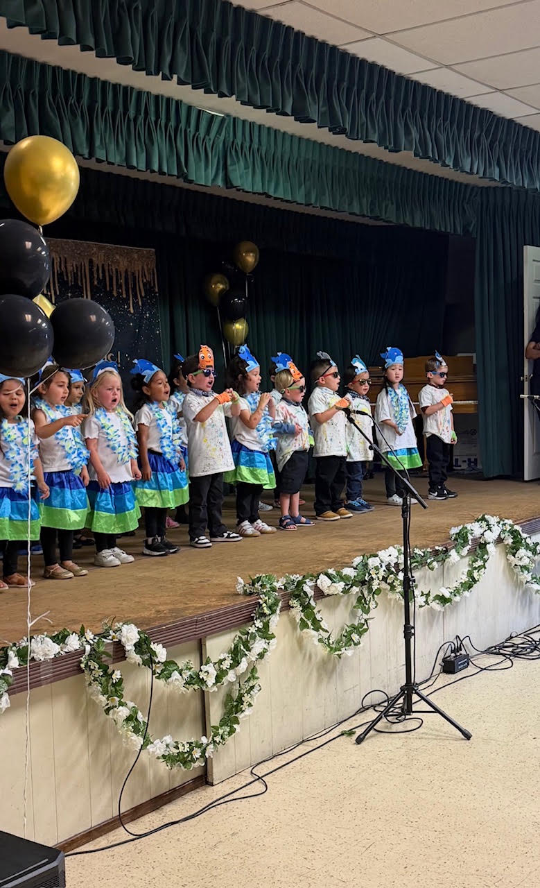 Dancekidz class and event photo 18